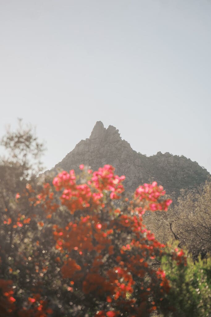 Luxury Scottsdale Wedding Planning by LO & Behold Concepts